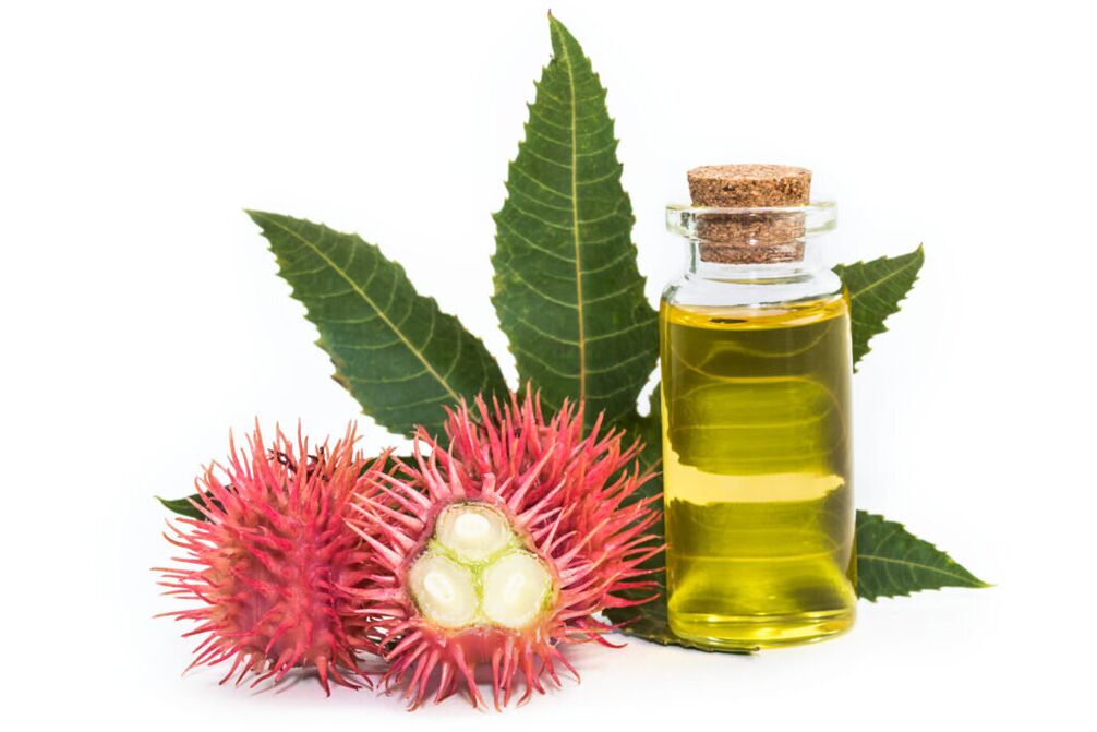 aceite de ricino - composición da crema Proctonic